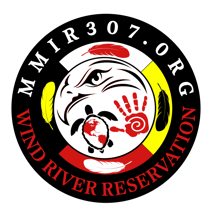 MMIR 307 logo