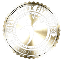 evospark fitness logo