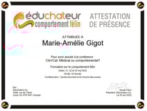 Educhateur, comportement félin, formation, Canada