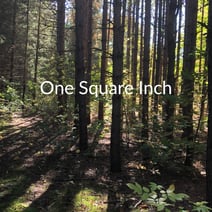 One Square Inch