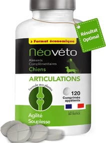 Canideo Articulations Chien Arthrose