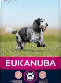 Canideo croquette pour chien Eukanuba Chien Senior Nourriture sèche Pour Moyenne Race Poulet 15kg