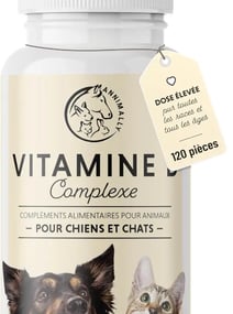 Canideo Vitamine B Complex 120 comprimés pour Chien Vitamine B1 B2 B3 B5 B6 B9 B12