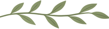 Leaf Border