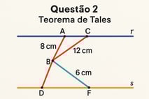 questão 2