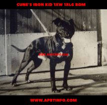 Cune’s Iron Kid 1xw 1xlg ROM