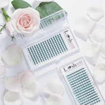 Lashmii Eyelash Extensions Lash Tray