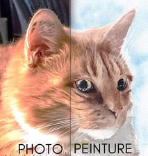 peinture de référence à cote du résultat en peinture de chat roux