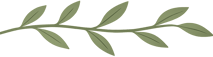 Leaf Border