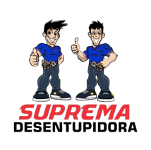 Desentupidora Zona Leste logo