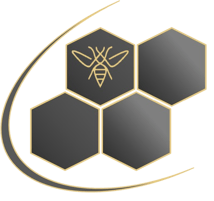 Beewise Group logo