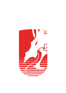 team alves logo