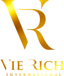 VIE RICH INTERNATIONAL logo