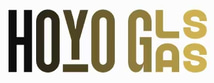 hoyoglass logo