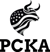 Polskie Centrum Kultury Amerykańskiej logo