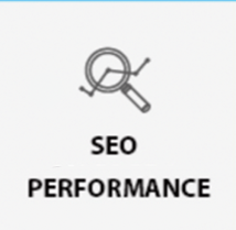 Performance SEO