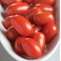 Grape Tomato