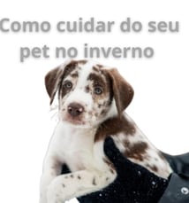 Guia Completo de Cuidados com Animais de Estimação no Inverno + Banhos a Seco