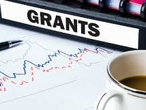 Grant Writer Coordinator Volunteer. 365 We Thrive.