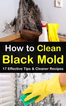a person cleaning a mold mold mold mold mold mold mold mold mold mold mold mold