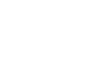 Logo of Linguages - Expert Language Services, the company name in white on elegant green background