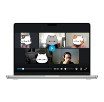 french quest live call