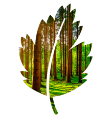 Ecological printing by SuperPrinting