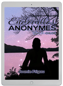 Ebook "Les endeuillés anonymes" tome 3 - Joanie Frigau