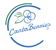 Arándanos y otras berries logo