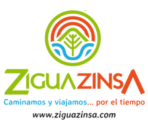 ziguazinsa logo