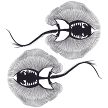 Fossil Oasis logo