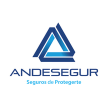 Andesegur SAC logo