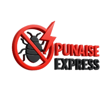 Punaise express logo