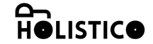 DjHolistico logo