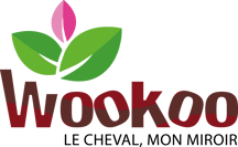 WOOKOO logo