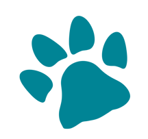 coussinet chien