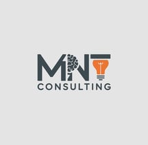 Logo MNT CONSULTING