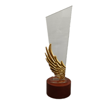 a trophy trophy with a gold trophy award