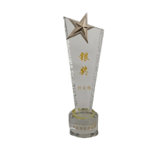 a starfish trophy trophy with a starfish on it