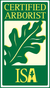 ISA certified arborist logo with oak leaf