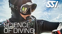 a man in a diving suit with a scuba mask