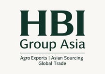 Official logo of HBI Group Asia — global trade and export infrastructure platform.