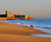 carcavelos beach
