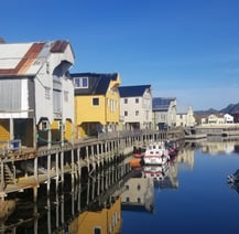 Voyage aux îles Lofoten