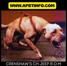 crenshaw ch jeep rom apbt game dog