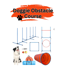 dog obstacle course