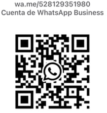 Contacto Whatsapp SIPCONMX +52 81 2935 1980