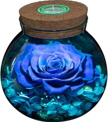 Preserved Real Roses Colorful Mood Light Wishing Bottle Flowers Table Decor Christmas Valentine