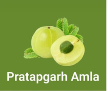 Pratapgarh Amla logo