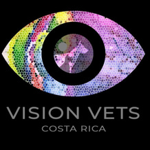 VisionVetsCR logo